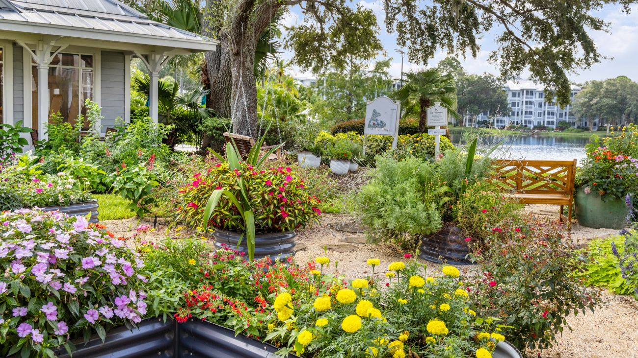 Serenity Garden